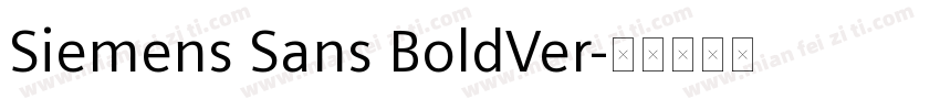 Siemens Sans BoldVer字体转换